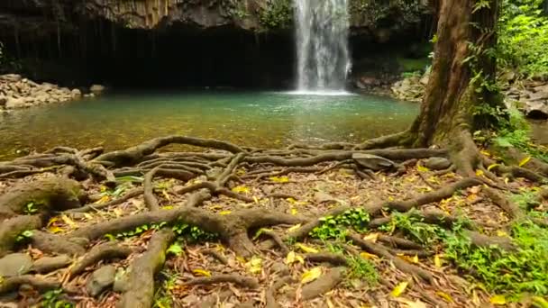 Tropikalnym wodospadem — Wideo stockowe