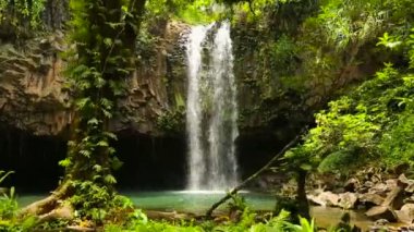 Hawaiian orman su Güz