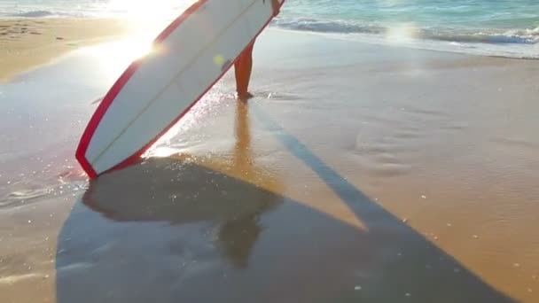 サーフボードとビーチで美しい魅力的な若いハワイアン女の子 — ストック動画