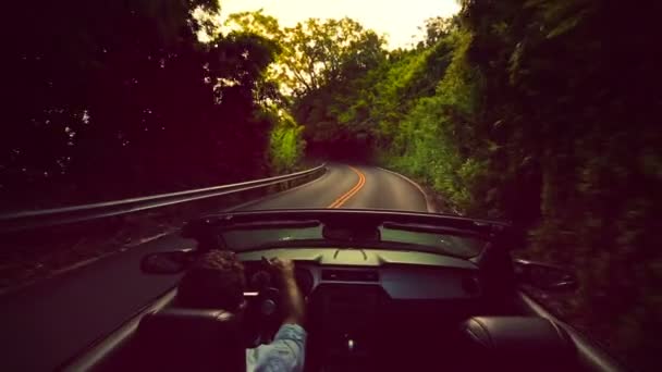 Hawaii. Steadicam Shot. Concetto di vacanza in libertà di viaggio . — Video Stock