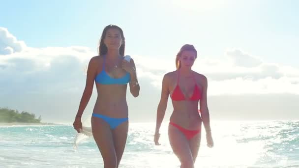 Schöne attraktive junge Frauen zu Fuß den Strand hinunter. — Stockvideo