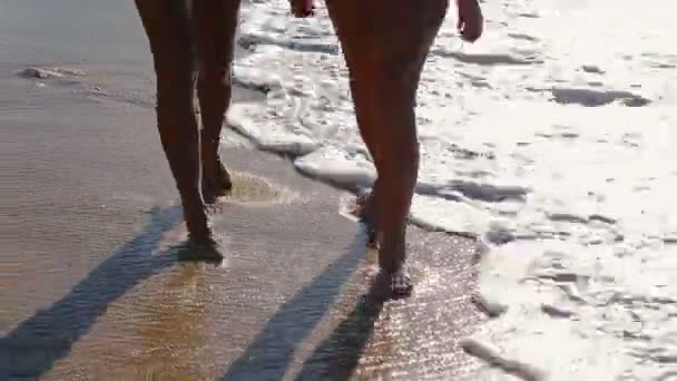 Mooie aantrekkelijke jonge vrouwen lopen langs het strand. — Stockvideo