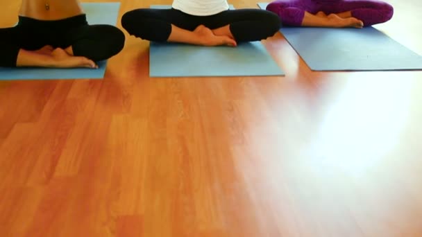 Grupa ludzi relaksujące i robi joga. Centrum odnowy biologicznej i zdrowego stylu życia. — Wideo stockowe