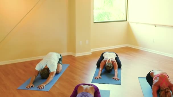 Groupe de personnes se détendre et faire du yoga. Bien-être et mode de vie sain . — Video