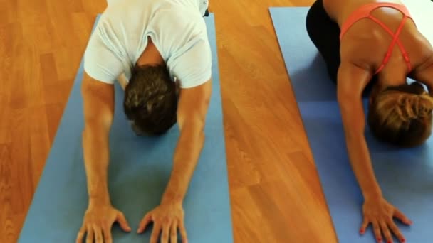 Grupo de Personas Relajándose y Haciendo Yoga. Bienestar y estilo de vida saludable . — Vídeos de Stock