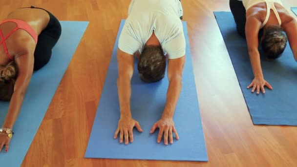 Groep mensen ontspannen en doen Yoga. Wellness- en een gezonde levensstijl. — Stockvideo