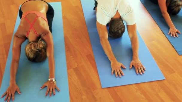 Gruppe von Menschen, die sich entspannen und Yoga machen. Wellness und gesunder Lebensstil. — Stockvideo