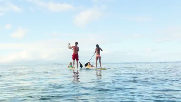 Familia feliz se levanta remando en Hawaii . — Vídeos de Stock