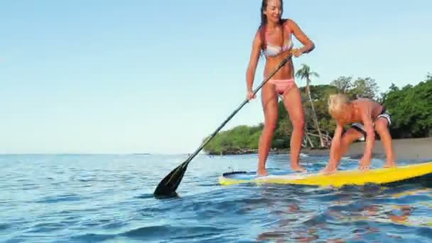 Happy Family Stand Up Paddling in Hawaii. — Stock Video