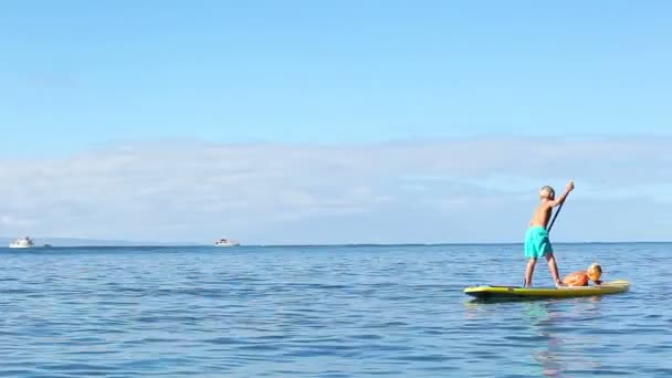 Young Boys Paddling Surfboard in Hawaii — Stock Video