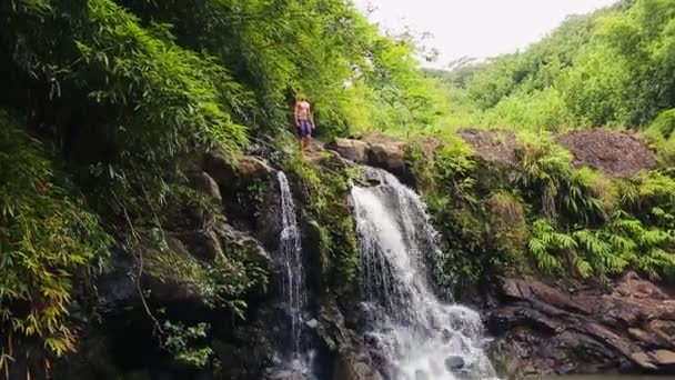 Bambusz erdő vízesés szikla ugrik merülés — Stock videók