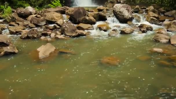 Bamboe woud waterval langzaam onthullen pan. Geweldig lush Planet Earth natuur reis concept. — Stockvideo