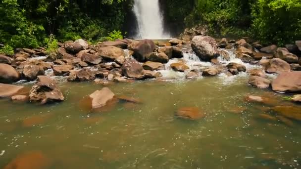 Bamboe woud waterval langzaam onthullen pan. Geweldig lush Planet Earth natuur reis concept. — Stockvideo