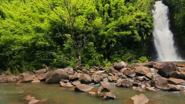 Bamboe woud waterval langzaam onthullen pan. Geweldig lush Planet Earth natuur reis concept. — Stockvideo