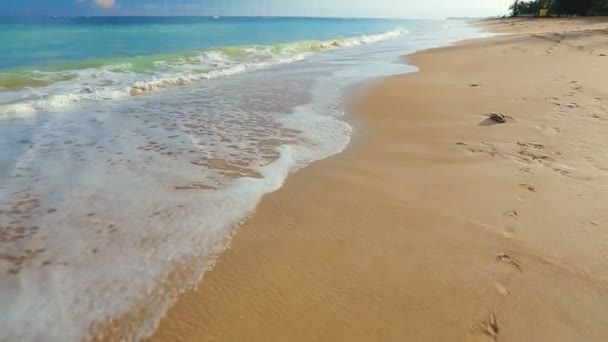 Slow Smooth Steadicam Motion Revealing White Sandy Beach. Paisaje escénico oceánico. Ondas rodando y estrellándose . — Vídeos de Stock