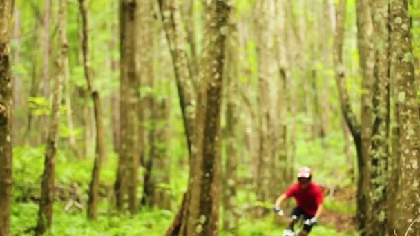 Ciclismo de montaña Bosque Trail. Young Fit Man Rides Mountain Bike. Estilo de vida activo al aire libre del verano. Steadicam Shot . — Vídeo de stock