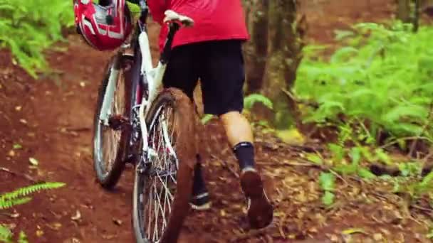 Lesní cyklostezka Mladý fit muž jízda na horské motorce. Venkovní letní životní styl. Střela Steadicam. — Stock video