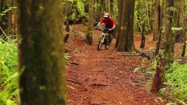 Sentier forestier VTT. Young Fit Man Rides VTT. Style de vie d'été actif en plein air. Steadicam Shot .