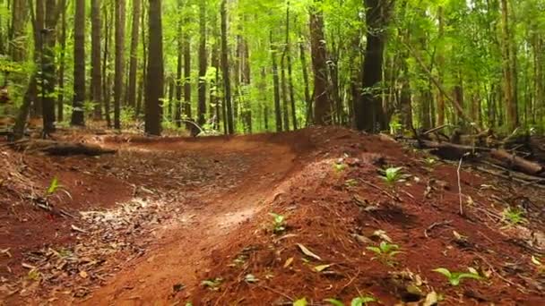 Mountainbike smuts Berm intesne fast Forest Trail. Young Fit man rider mountainbike. Utomhus aktiv sommar livsstil. Steadicam skott. — Stockvideo