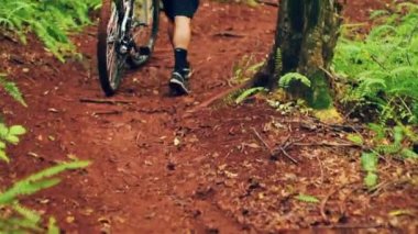 Dağ Bisikleti Orman Yolu. Genç Fit Adam Dağ Bisikleti Sürmek. Açık Aktif Yaz Yaşam Tarzı. Steadicam Shot.
