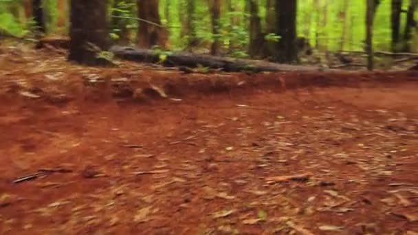 Ciclismo de montaña intenso Siga Cam Shot Alrededor de empinada suciedad Berm va rápido. Joven ajuste hombre paseos bicicleta de montaña . — Vídeo de stock