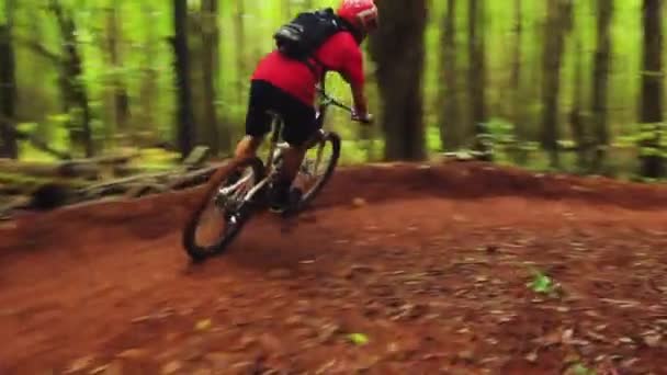 Mountainbike-Waldweg. junger fitter Mann fährt Mountainbike. Outdoor aktiver Sommerlebensstil. Steadicam-Aufnahme. — Stockvideo