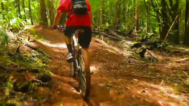 Mountain Biking forest Trail. Young fit man rijdt Mountain Bike bergop. Outdoor actieve zomer lifestyle. Steadicam schot. — Stockvideo