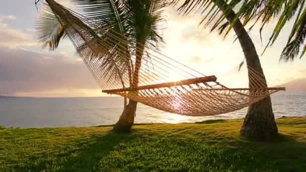 Hammock and Palm Trees at Sunset Beautiful Sun Flare — Stock Video