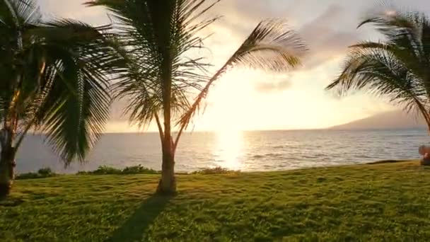 Hängmatta och palmer vid solnedgången. Bakgård Oceanfront fastigheter. Maui — Stockvideo