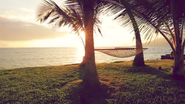 Hammock and Palm Trees at Sunset. Instagram Color Tone. — Stock Video