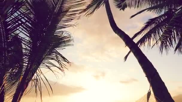 Αιώρα και φοίνικες στο ηλιοβασίλεμα. Instagram χρωματικό τόνο. — Αρχείο Βίντεο