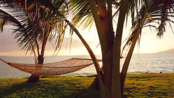 Гамаку і пальмові дерева на заході сонця. Instagram Колірний тон. — стокове відео