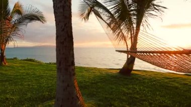 Hamak ve palmiye ağaçları gün batımında. Arka Bahçe Oceanfront Emlak. Maui
