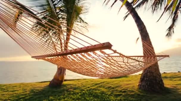 Hamaca y palmeras al atardecer Hermosa llamarada del sol — Vídeos de Stock