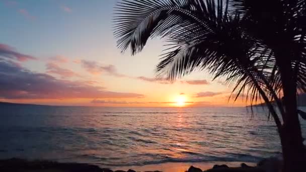 Paysage marin magnifique Coucher de soleil sur les îles Hawaï — Video