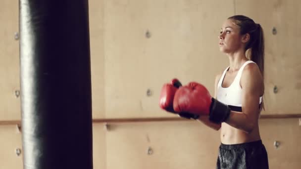 Όμορφη νεαρή γυναίκα αθλητής άσκηση για αυτοάμυνα με γάντια του μποξ και τσάντα σώματος. — Αρχείο Βίντεο