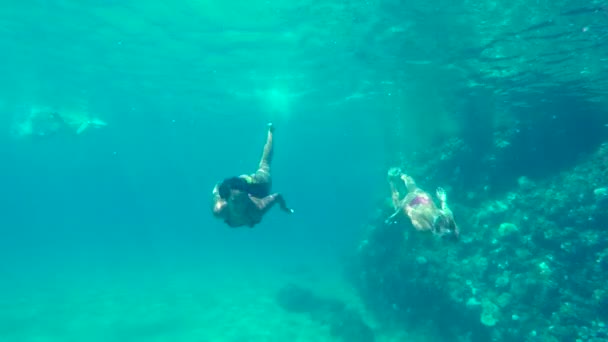 Ağır çekim 120fps bikinili güzel kızlar Pasifik Okyanusu'nda sualtı Yüzme. — Stok video