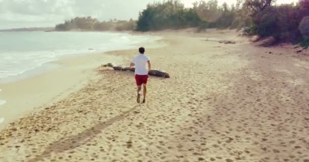 4k Young fit man die op het strand loopt. Antenne vliegen door. Outdoor gezonde levensstijl. — Stockvideo