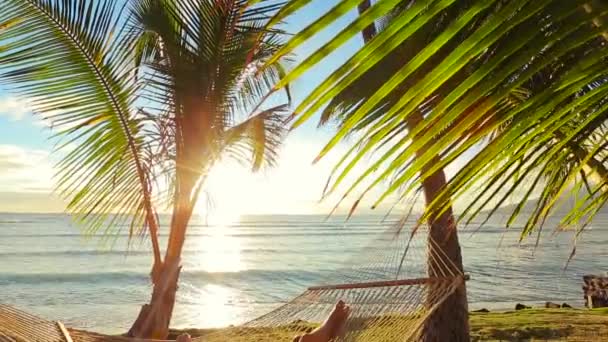 Mujer joven hermosa que relaja en hamaca tropical al atardecer . — Vídeo de stock