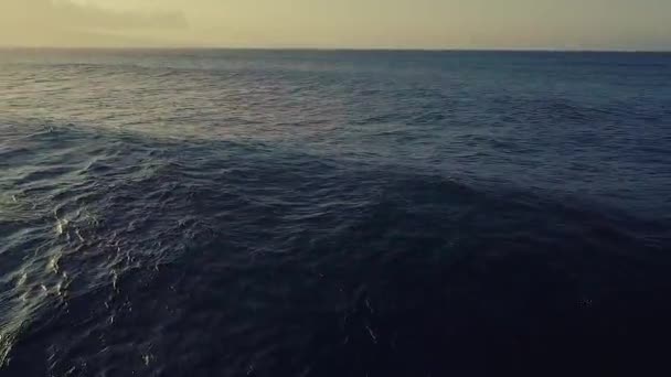 Ondas aéreas sobre el océano rompiendo la luz del atardecer — Vídeo de stock