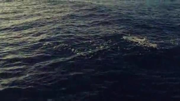 Ondas aéreas sobre el océano rompiendo la luz del atardecer — Vídeo de stock