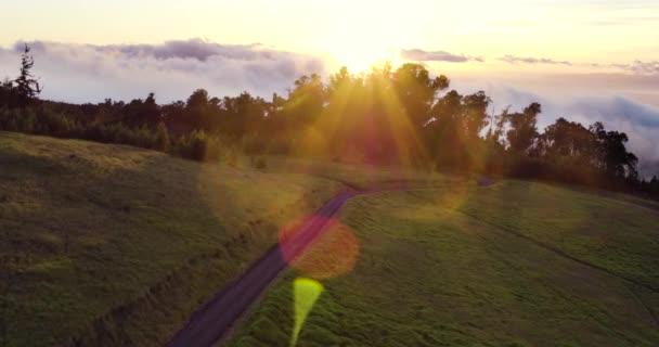 Zonsondergang luchtfoto. Vlucht over groene met gras begroeide heuvels en bos. 4k luchtfoto — Stockvideo