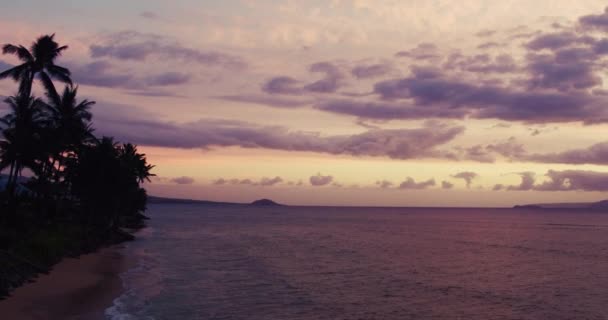 4 k luchtfoto van zonsondergang met Palm Tree-silhouet en Hawaïaanse eiland kustlijn — Stockvideo