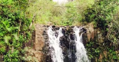 Tropikal orman şelale havadan görünümü