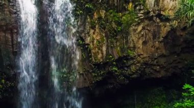 Tropikal orman şelale havadan görünümü