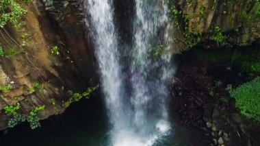 Tropikal orman şelale havadan görünümü