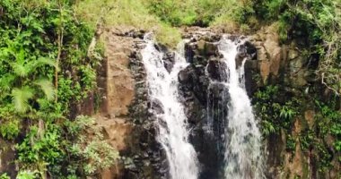 Tropikal orman şelale havadan görünümü