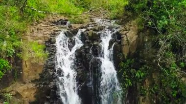 Tropikal orman şelale havadan görünümü