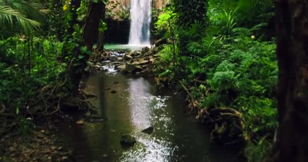 Vista aérea de la cascada de la selva tropical — Vídeo de stock