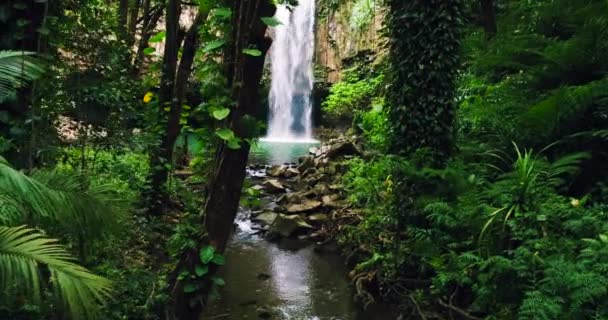 Aerial View of Tropical Jungle Waterfall — Stock Video